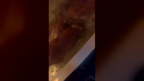 Snapshot of michelsexy69603790 chatting on 12, 4, 2026 michelsexy69603790 online show from 12, 4, 2026