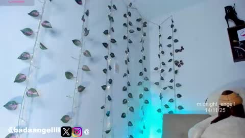       online show from 15, 11, 2025