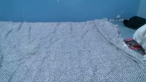 Caddy online show from 21, 4, 2026