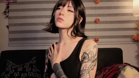 midori__san online show from 23, 11, 2025