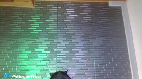 Snapshot of miia_zarate chatting on 22, 1, 2025 Ma - online show from 22, 1, 2025