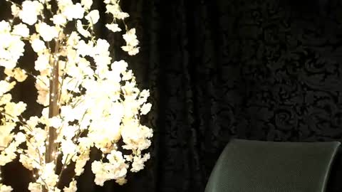 Mika online show from 16, 12, 2024