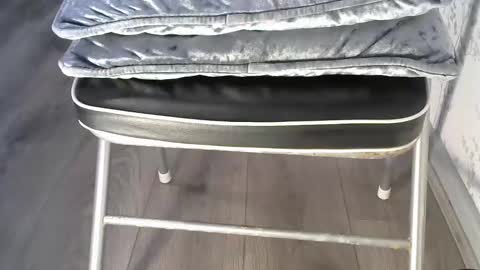 mike26051 online show from 15, 12, 2025