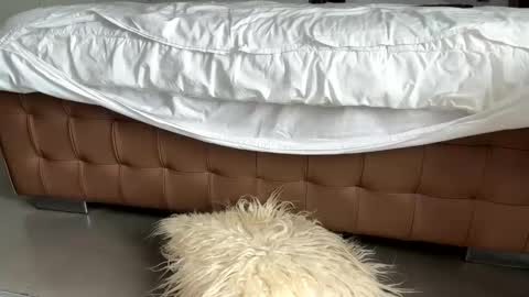 djfuckoff online show from 2, 3, 2026