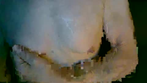 Snapshot of mikenyc55 chatting on 4, 10, 2025 mikenyc55 online show from 4, 10, 2025