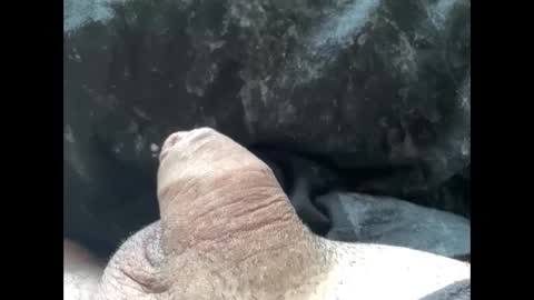 mikke332 online show from 10, 2, 2025