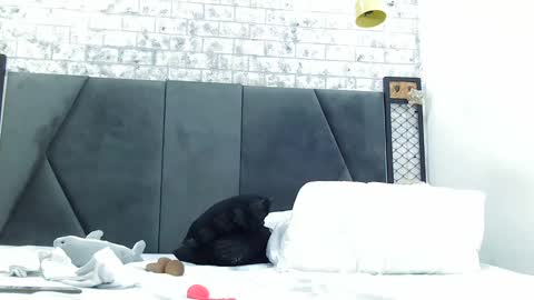 mila_adamss online show from 16, 1, 2025