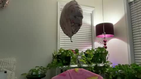 MIlf Goddess online show from 13, 7, 2026