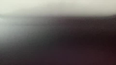 stud online show from 16, 12, 2025