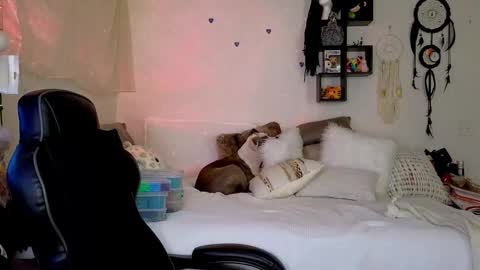 Mindy Mars online show from 16, 1, 2026