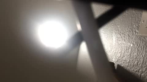 minniehunney online show from 4, 11, 2025