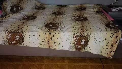 Happy New Year  online show from 10, 11, 2025