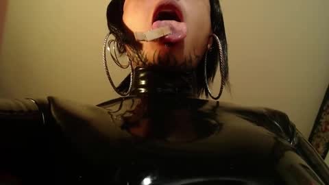 Anarkitten  online show from 26, 2, 2025