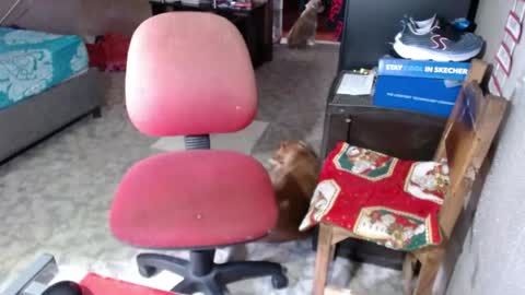 Maria Gomezz online show from 26, 5, 2026