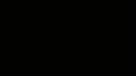 misskatiia online show from 24, 9, 2025