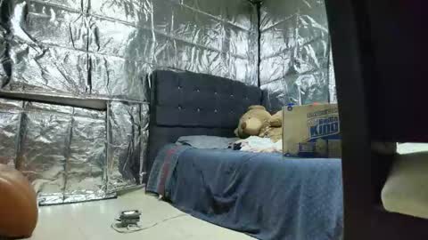 SCARLETH online show from 24, 11, 2025