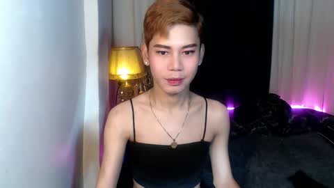 Stella online show from 19, 1, 2026