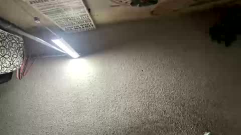 mister_nasty online show from 12, 1, 2026