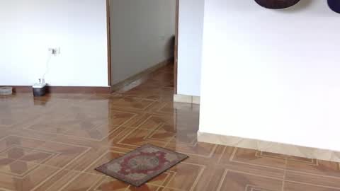 misternocturne online show from 20, 4, 2026