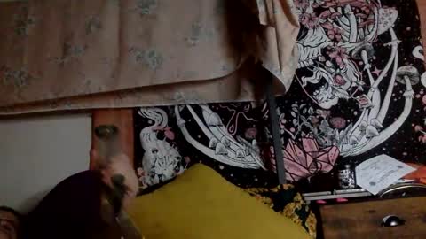 Mistress Mystii online show from 12, 1, 2025