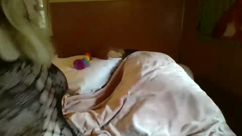 MichelleBunny7 online show from 5, 2, 2025