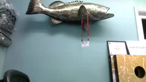 Snapshot of mjd666 chatting on 9, 9, 2025 mjd666 online show from 9, 9, 2025