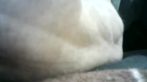 Snapshot of mlkklm47 chatting on 2, 1, 2025 mlkklm47 online show from 2, 1, 2025