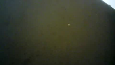 Snapshot of mlkklm47 chatting on 3, 1, 2025 mlkklm47 online show from 3, 1, 2025