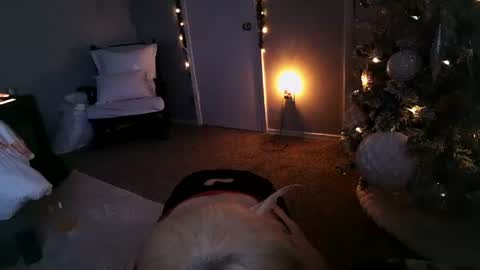 Angel online show from 11, 12, 2024