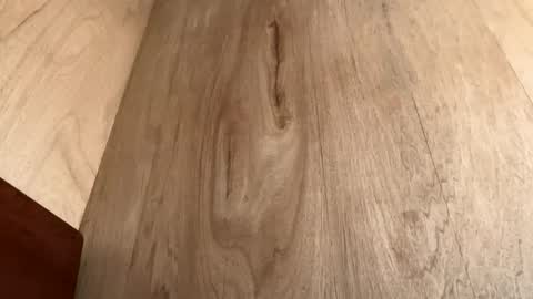 Jack online show from 20, 10, 2025