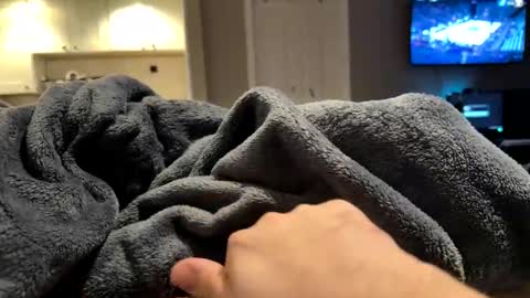 moethecheater7 online show from 26, 11, 2025