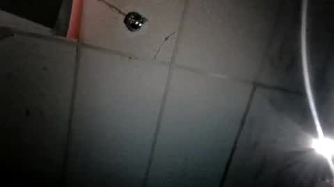 Pnisxxl online show from 12, 3, 2025