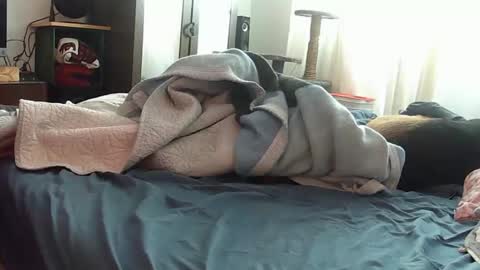 mojoe420 online show from 29, 11, 2025