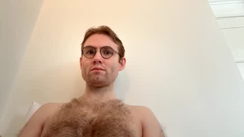 molliter online show from 2, 4, 2026