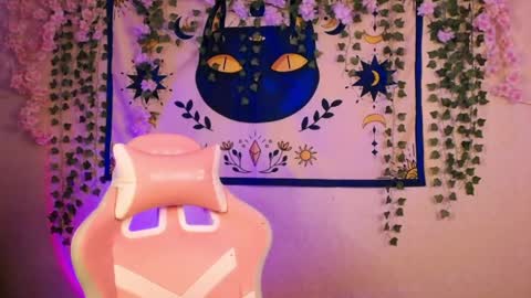Snapshot of molly_kisss chatting on 10, 5, 2026 molly_kisss online show from 10, 5, 2026