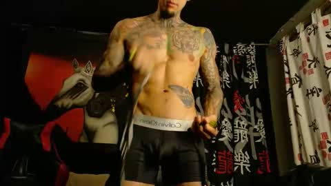 Molotov online show from 9, 11, 2025