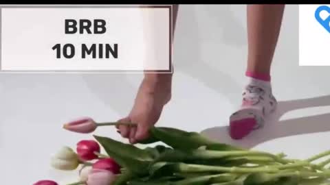 Mommy online show from 6, 11, 2025