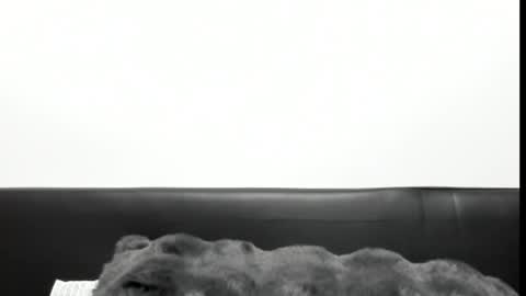 monicacure online show from 27, 10, 2025