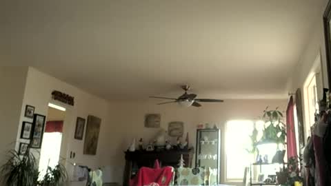 Monkee Dance online show from 1, 1, 2025