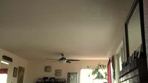 Monkee Dance online show from 16, 2, 2025