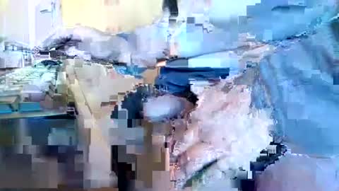 mookie2 online show from 11, 1, 2025