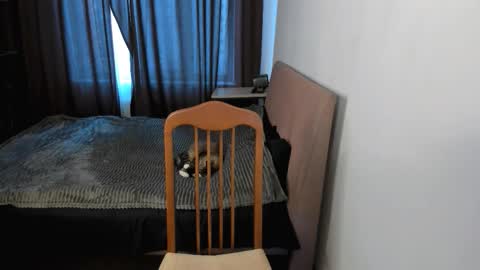 Zoe online show from 12, 3, 2026