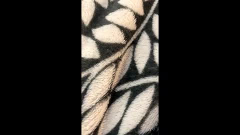 Morgan  Gina online show from 21, 3, 2026