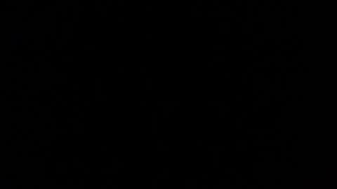 Nomadu online show from 1, 3, 2025