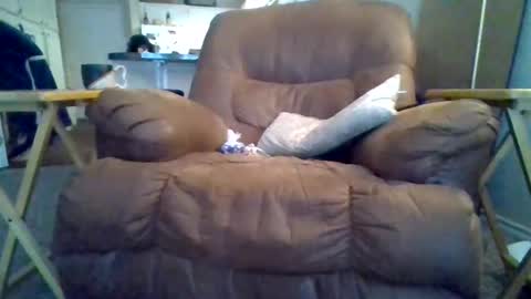 motodub online show from 1, 3, 2025