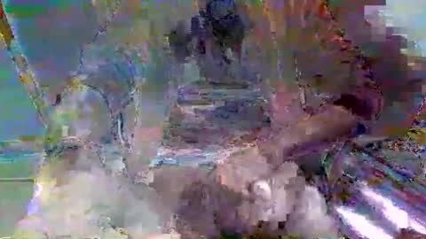 mppempis81 online show from 21, 12, 2025