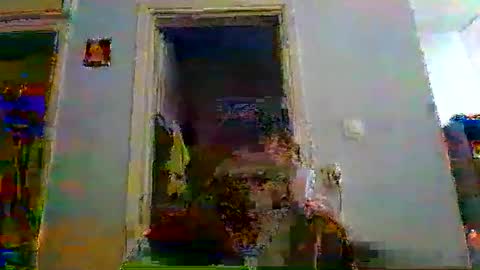 mppempis81 online show from 5, 1, 2026