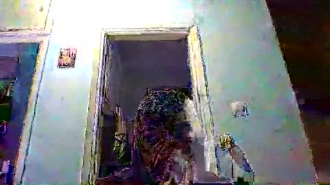 mppempis81 online show from 4, 2, 2026