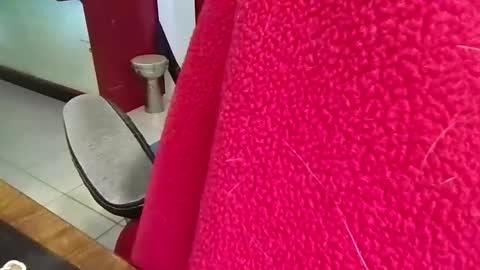 mr_atwood online show from 20, 4, 2026