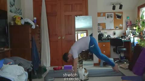 ninko online show from 31, 1, 2025